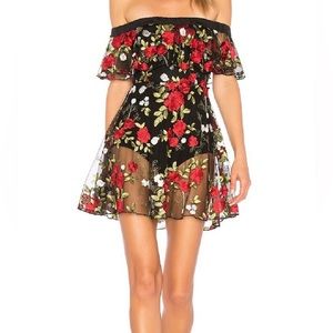 Lovers & Friends Erica Sheer Embroidered A Line Dress Size: L